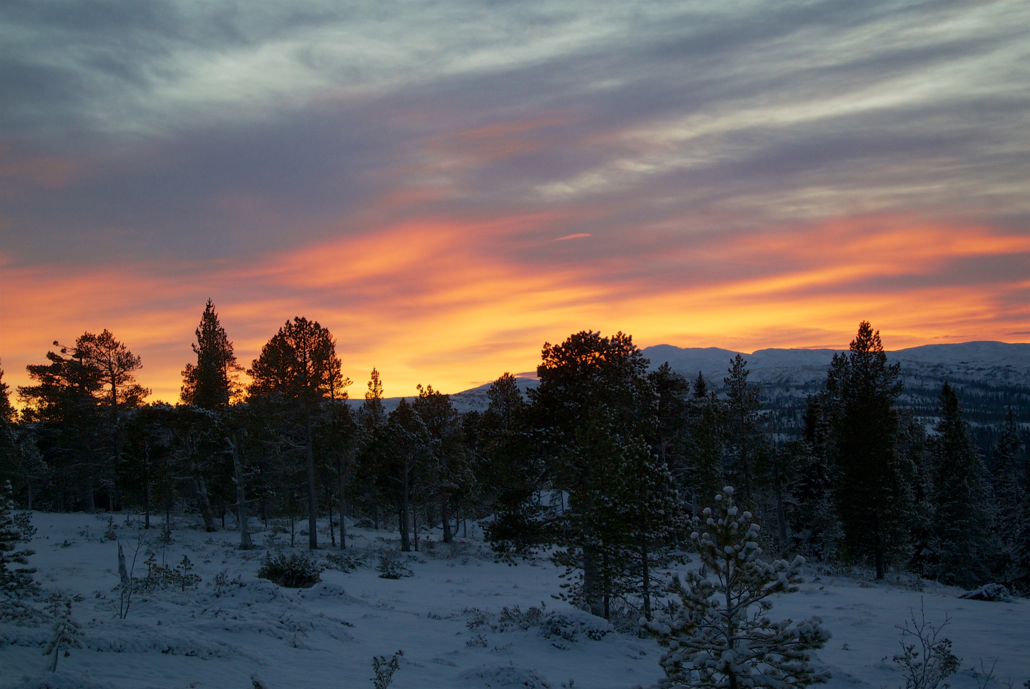 Winter Sunset Over Verdalen, Norway